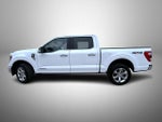 2023 F-150 Thumbnail 8