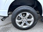 2023 F-150 Thumbnail 22