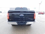 2023 F-150 Thumbnail 4
