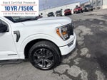 2023 F-150 Thumbnail 4