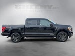 2023 F-150 Thumbnail 10