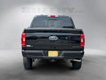 2023 F-150 Thumbnail 14