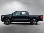 2023 F-150 Thumbnail 16