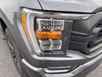 2023 F-150 Thumbnail 12