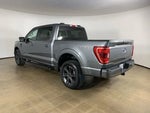 2023 F-150 Thumbnail 13
