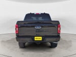 2023 F-150 Thumbnail 6