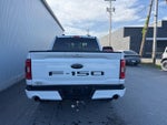 2023 F-150 Thumbnail 10