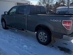 2013 F-150 Thumbnail 3