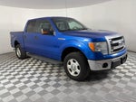 2013 F-150 Thumbnail 1