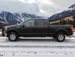 2017 F-150 Thumbnail 3