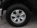 2017 F-150 Thumbnail 12