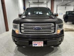 2013 F-150 Thumbnail 3