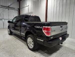 2013 F-150 Thumbnail 8