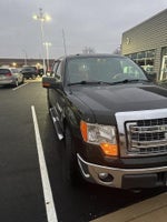 2013 F-150 Thumbnail 2