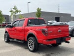 2013 F-150 Thumbnail 3