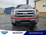 2014 F-150 Thumbnail 19
