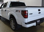 2014 F-150 Thumbnail 4