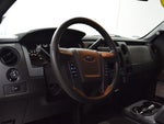 2014 F-150 Thumbnail 9