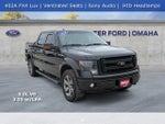 2014 F-150 Thumbnail 1
