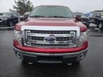 2014 F-150 Thumbnail 2