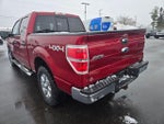 2014 F-150 Thumbnail 6