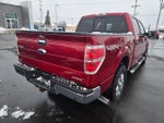 2014 F-150 Thumbnail 8