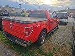 2011 F-150 Thumbnail 9