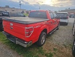 2011 F-150 Thumbnail 10