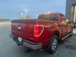2011 F-150 Thumbnail 9
