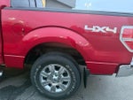 2011 F-150 Thumbnail 13