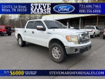 2011 F-150 Thumbnail 1
