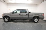 2013 F-150 Thumbnail 4