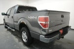 2013 F-150 Thumbnail 6