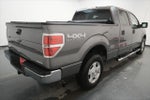 2013 F-150 Thumbnail 8