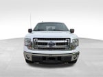 2013 F-150 Thumbnail 2
