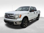 2013 F-150 Thumbnail 3