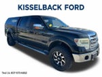 2013 F-150 Thumbnail 1