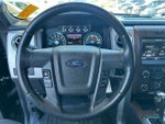 2013 F-150 Thumbnail 11