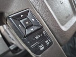 2013 F-150 Thumbnail 18