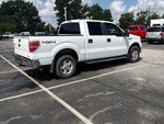 2013 F-150 Thumbnail 5