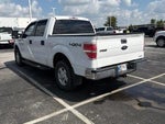 2013 F-150 Thumbnail 8