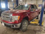 2014 F-150 Thumbnail 1