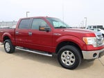 2014 F-150 Thumbnail 3