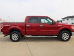 2014 F-150 Thumbnail 4