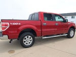 2014 F-150 Thumbnail 5