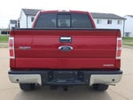 2014 F-150 Thumbnail 14