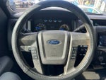 2014 F-150 Thumbnail 13