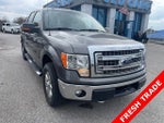2014 F-150 Thumbnail 3