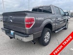 2014 F-150 Thumbnail 4