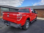 2012 F-150 Thumbnail 5
